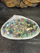 Load image into Gallery viewer, Crystal Shells - Aurora Collection
