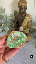 Laden und Abspielen von Videos im Galerie-Viewer, Crystal Shells - Sea Glass Collection
